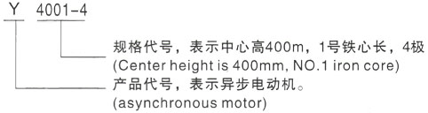 西安泰富西玛Y系列(H355-1000)高压罗江三相异步电机型号说明